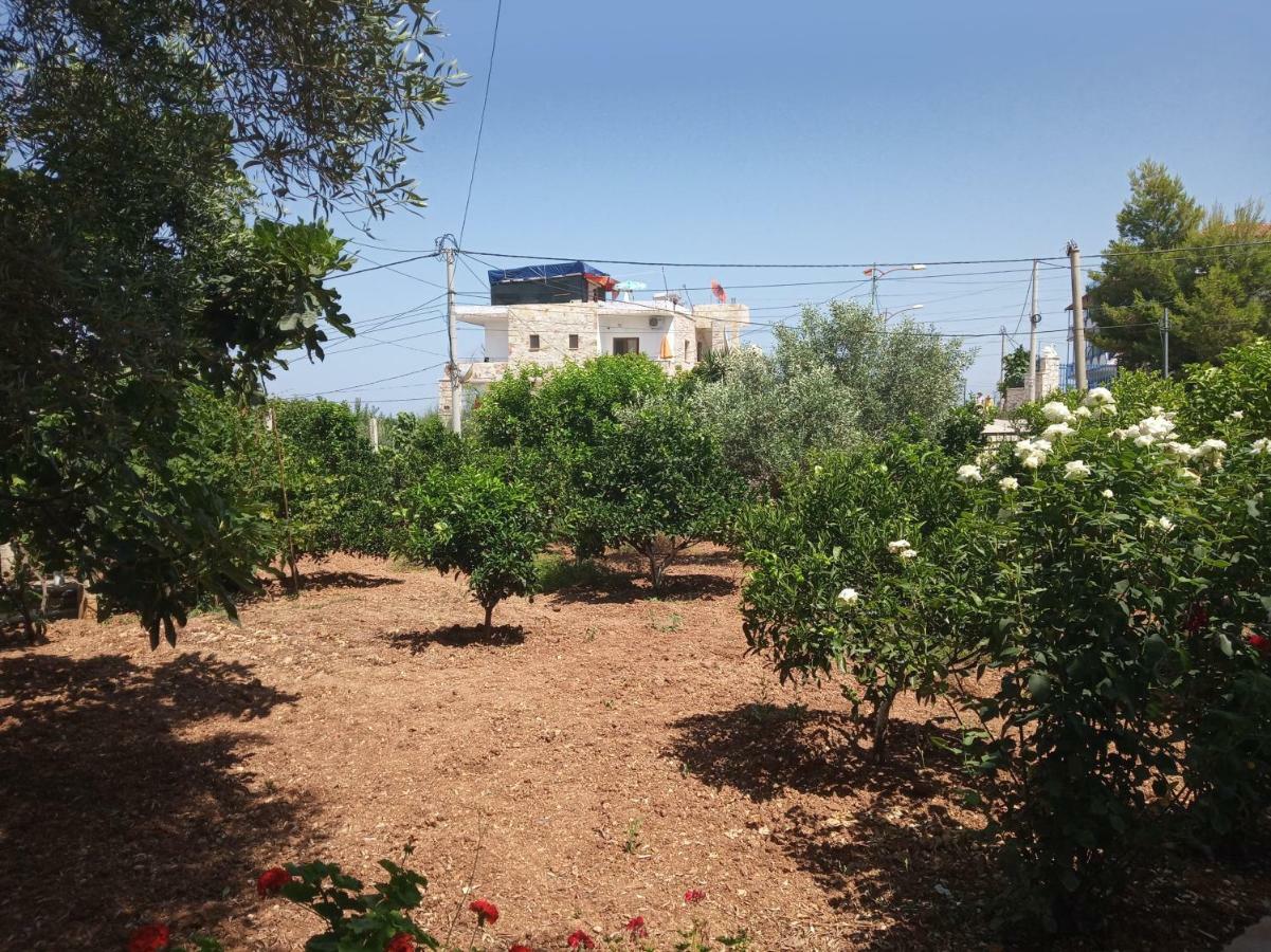 Vila Kylie Ksamil Exterior foto